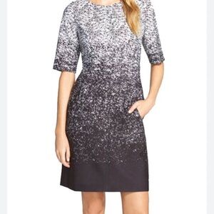 Tahari ASL A-Line Ombré Dress